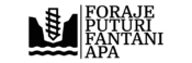 Foraje Puturi Fantani Apa